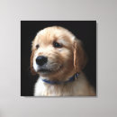 Search for babies canvas prints Labrador retriever
