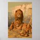 Search for lion and lioness posters Wild