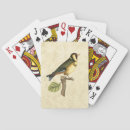 Search for bird playing cards Animal