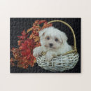 Search for dog picture puzzles Baby