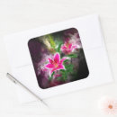 Search for stargazer lily stickers Pink