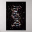 Search for emerald posters Jewel
