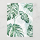 Search for leaf postcards Tropical