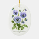 Search for violet flower christmas tree decorations Pansy