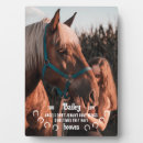 Search for horse memorial plaques Keepsake