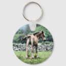 Search for paint horse key rings Cute