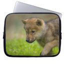 Search for wolf laptop cases Wolves