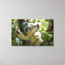 Search for koala nursery decor Bears
