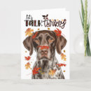 Search for german shorthaired pointers postcards Dogs