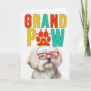Search for havanese funny postcards Bichon
