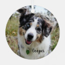 Search for australian shepherd dogs christmas decor Dog lover