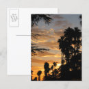 Search for los angeles palm trees postcards Sunset