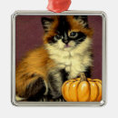 Search for ragdoll cat christmas tree decorations Siamese