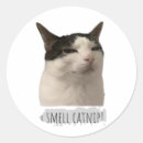 Search for cat meme stickers Funny