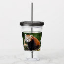 Search for panda tumblers Animal