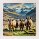 Search for highland cow puzzles Scotland