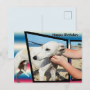 Search for greyhound birthday cards Pet