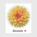 Search for yellow dahlia stickers Botanical