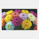Search for chrysanthemum flower stickers Colourful