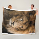 Search for lion blankets Nature