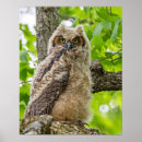 Search for fuzzy art Chick