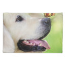 Search for retriever pillowcases Yellow labrador
