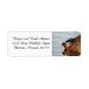 Search for wood duck return address labels Nature