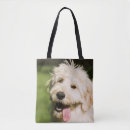 Search for panting bags Pet