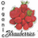 Search for strawberry photo stickers Fresh
