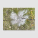 Search for weed tissue paper Seeds