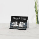 Search for swan thank you cards White
