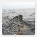 Search for oil slick stickers Gulf of mexico