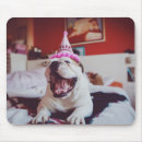 Search for getty mousepads Dogs