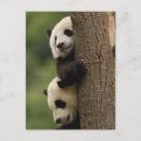 Search for temperate postcards Shaanxi province