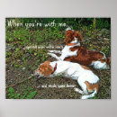 Search for brittany dog posters Dogs