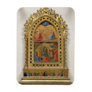 Search for magi magnets Angelico