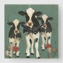 Search for ivory clocks Shabby