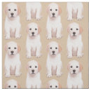Search for pupppy Puppies