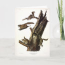 Search for squirrel picture cards Illustration