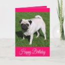 Search for pug dog birthday cards Pugs