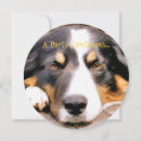 Search for border collie invitations Pet