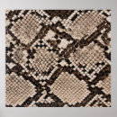 Search for snake skin posters Texture