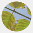 Search for macro stickers Leaves