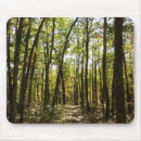 Search for appalachian electronics Fall