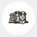 Search for australian shepherds stickers Animals