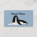 Search for springer spaniel Pup