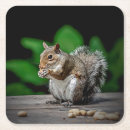 Search for feed barware Animal