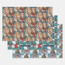 Search for donkey christmas wrapping paper Animals
