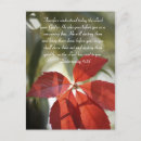 Search for red leaf postcards Pretty