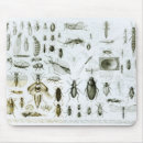 Search for zoology mousepads Lithograph